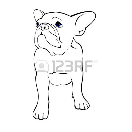 450x450 Bulldog, Dog, Animal, French, Vector, Illustration, Pet, Breed