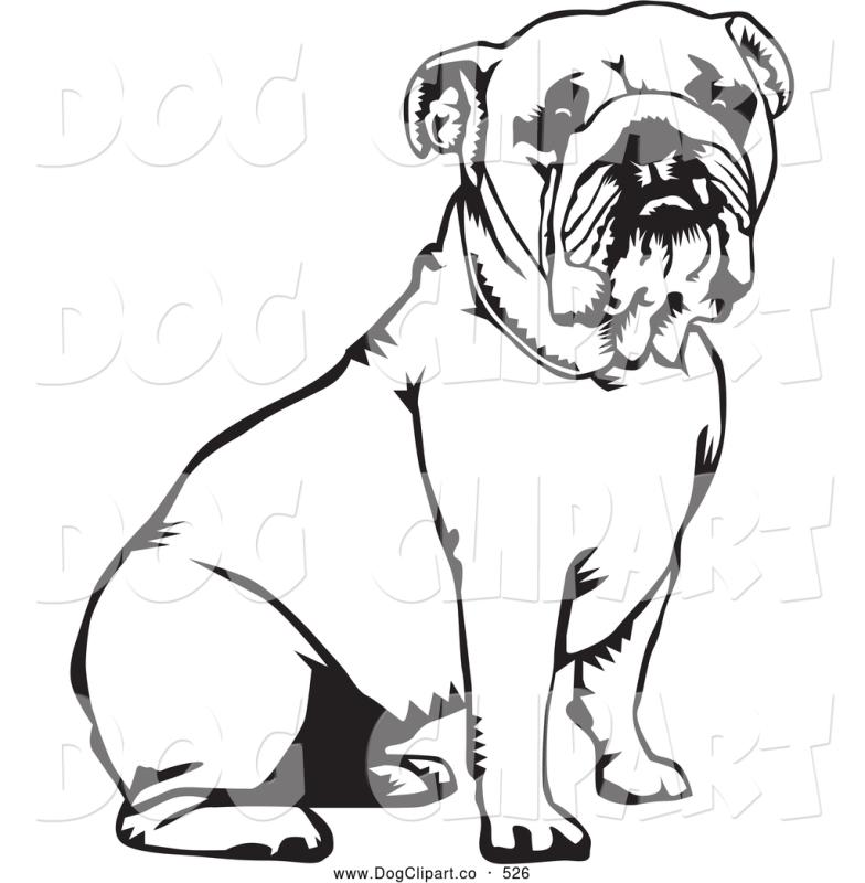 784x800 Cute Bulldog Clipart