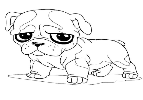 Cute Bulldog Drawing at GetDrawings | Free download