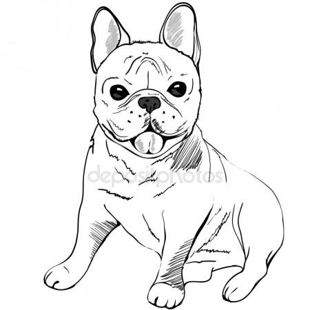 450x450 Cute French Bulldog Stock Vector 89534886399@mail.ru