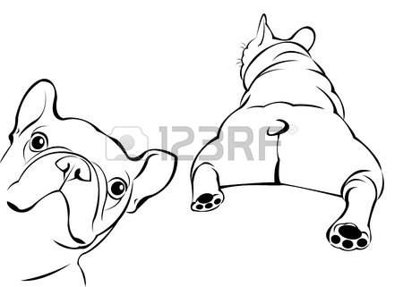 450x321 Cat Animal Contour Drawing Creative Dog Vector Breed Cute Pet
