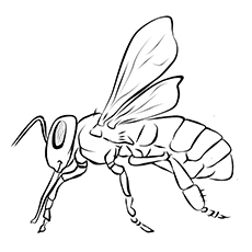 230x230 Top 15 Bumblebee Coloring Pages For Your Little One