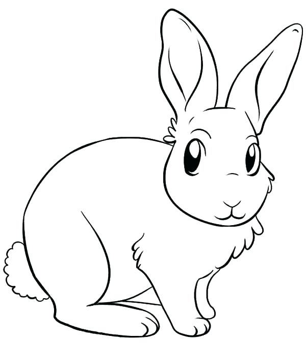 Cute Bunnies Drawing at GetDrawings | Free download