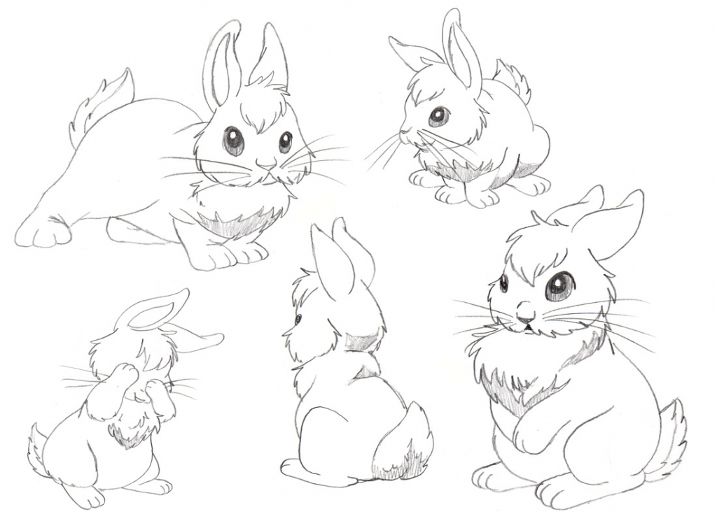 1024x745 Cute Bunny Drawing