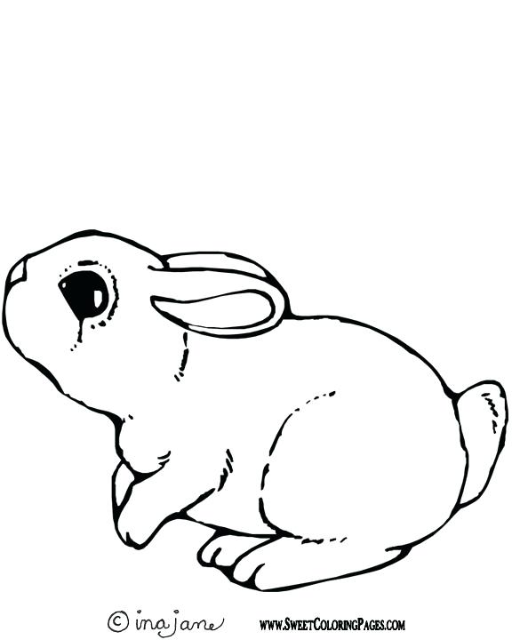 576x720 Printable Bunny Coloring Pages Cute Bunny Coloring Pages To Print