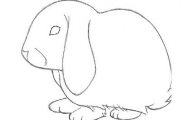 640x420 Tag For Cute Bunny Pictures To Draw Plush Bunny Drawing Trianna