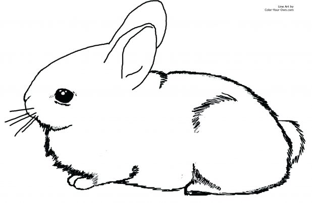 618x403 Coloring Cool Rabbit Pictures To Color. Cute Bunny Rabbit