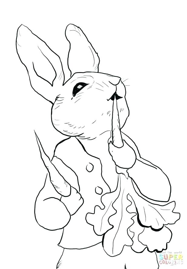 618x888 Bunny Rabbit Coloring Page Synthesis.site
