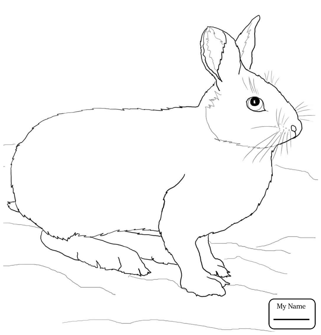 1093x1142 Cartoon Rabbit Rabbits Mammals Rabbits Coloring Pages For Kids