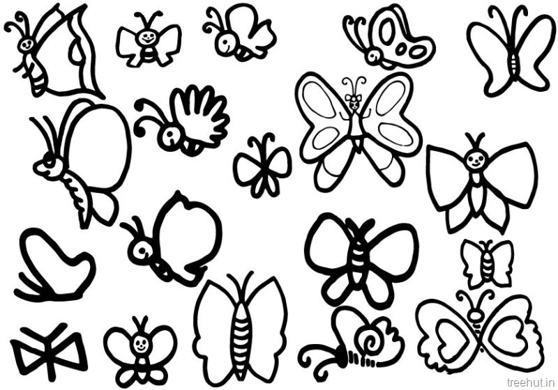 800x560 Cute Butterfly Coloring Page