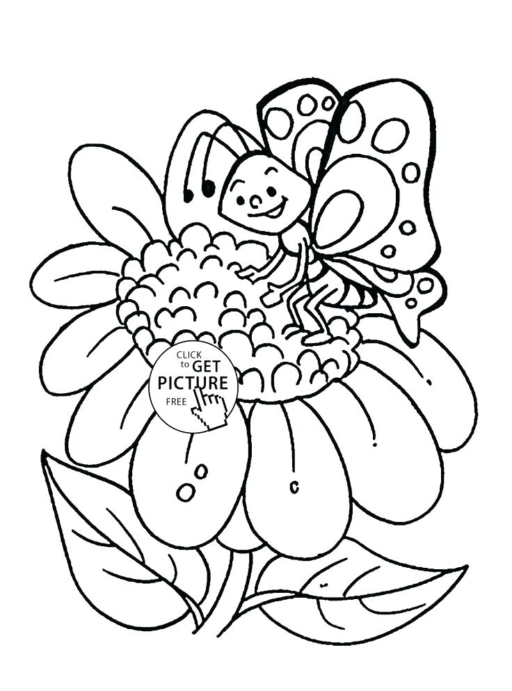 736x993 Hibiscus Flower Coloring Pages Free Flower Coloring Pages