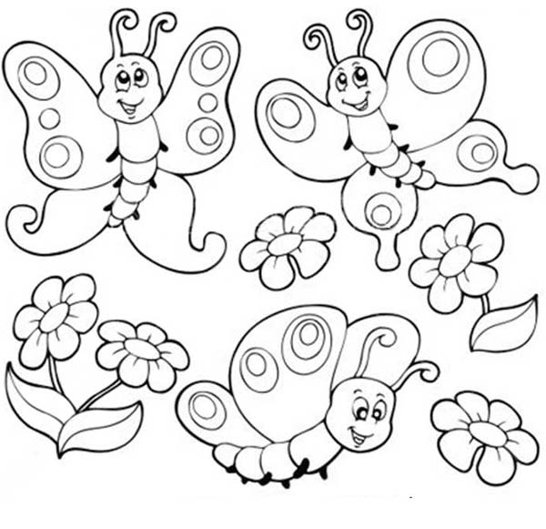 600x581 Three Cute Butterflies Transformation Coloring Page