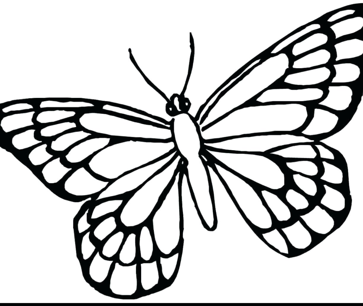 Cute Butterfly Drawing at GetDrawings | Free download