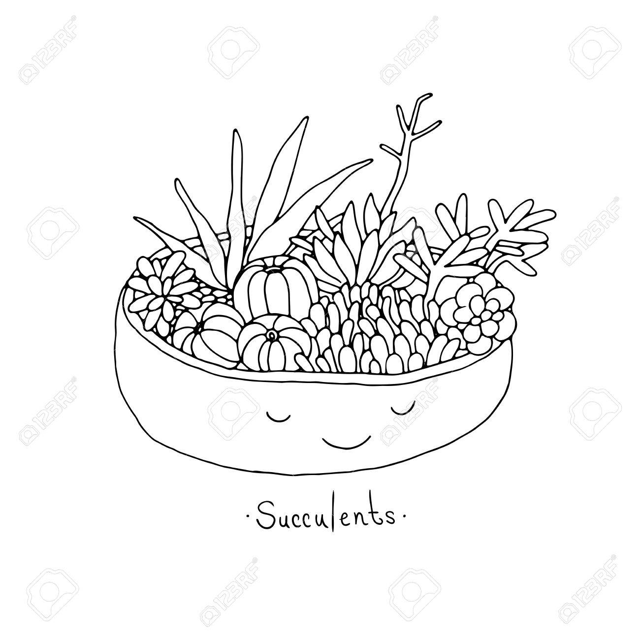 1300x1300 Cartoon Cute Succulents In Pot. Hand Drawing Isolated Objects