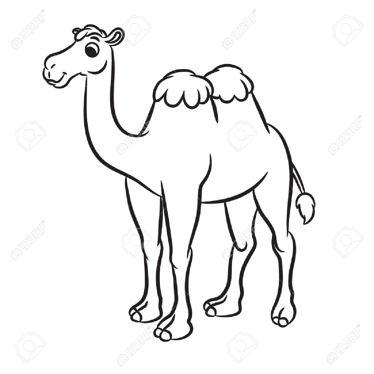 1300x1300 Cartoon Illustration Of Cute Camel Outlined. Vector Illustration