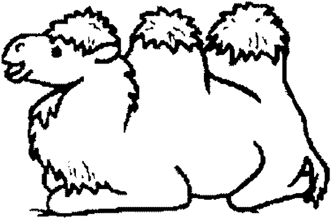 667x441 Coloring Camel Sitting In Sand Picture