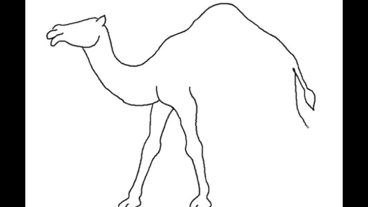 1280x720 How To Draw A Camel Easy Step By Step