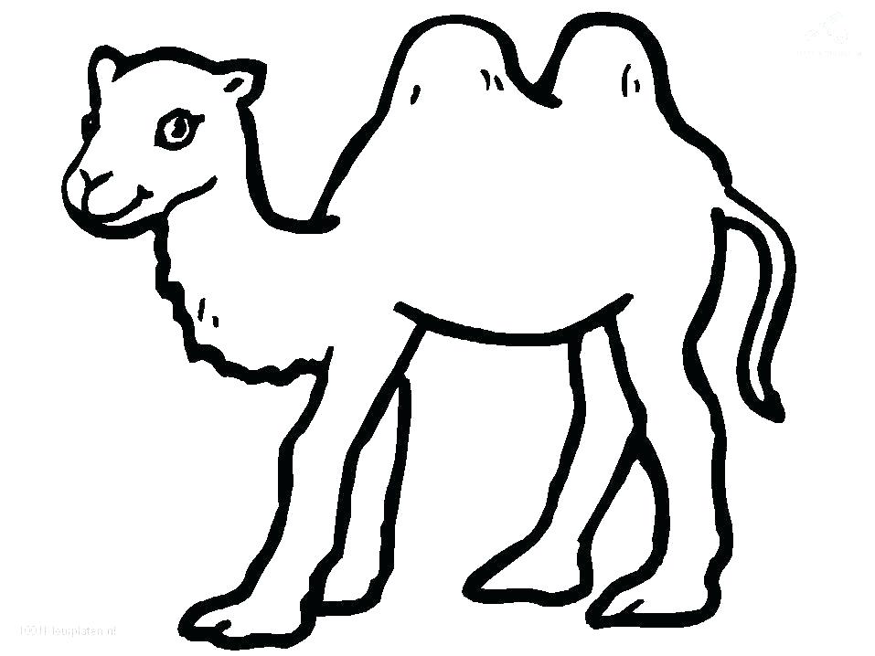 957x718 Animal Coloring Pages Free Coloring Pages Of Animals Simple Design