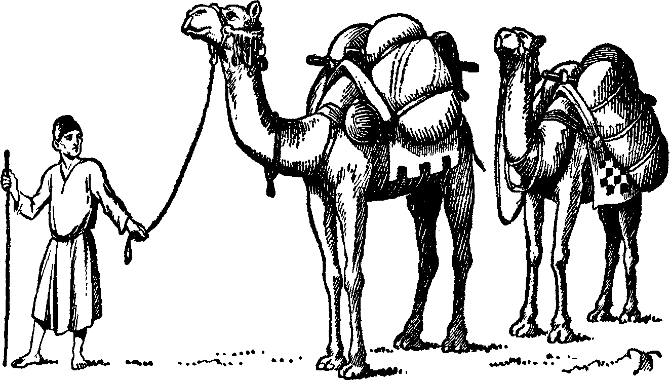 1323x750 Camel Caravan Clip Art Displaying 17gt Images