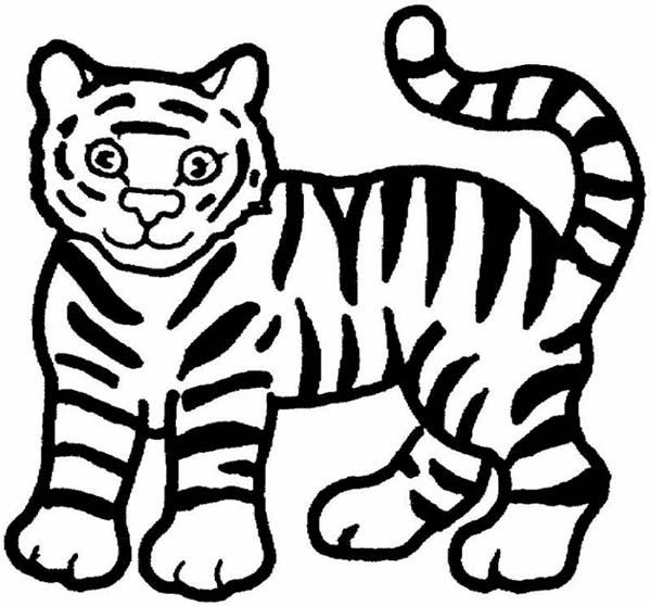 600x558 A Cute Cartoon Drawing Of Tiger Cub Coloring Page