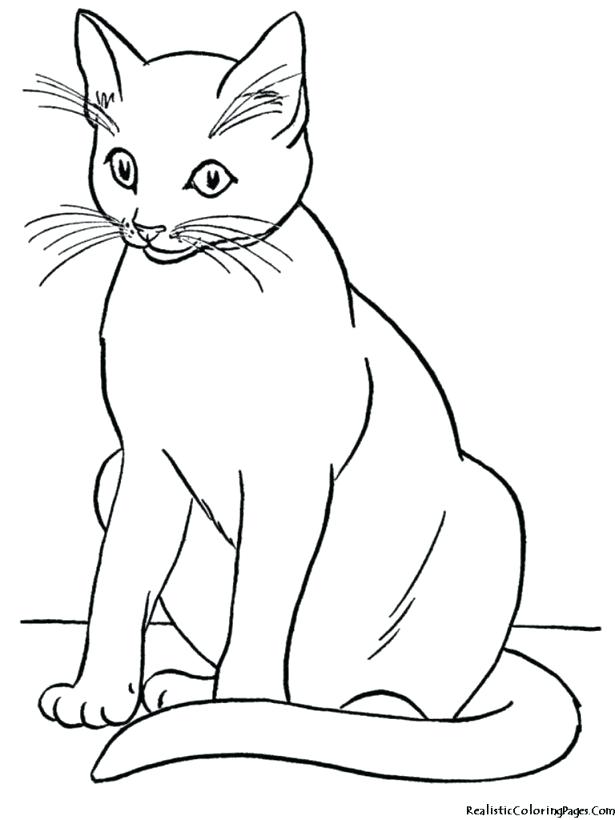 615x820 Cute Cat Coloring Pages Medium Size Of Pictures To Colour
