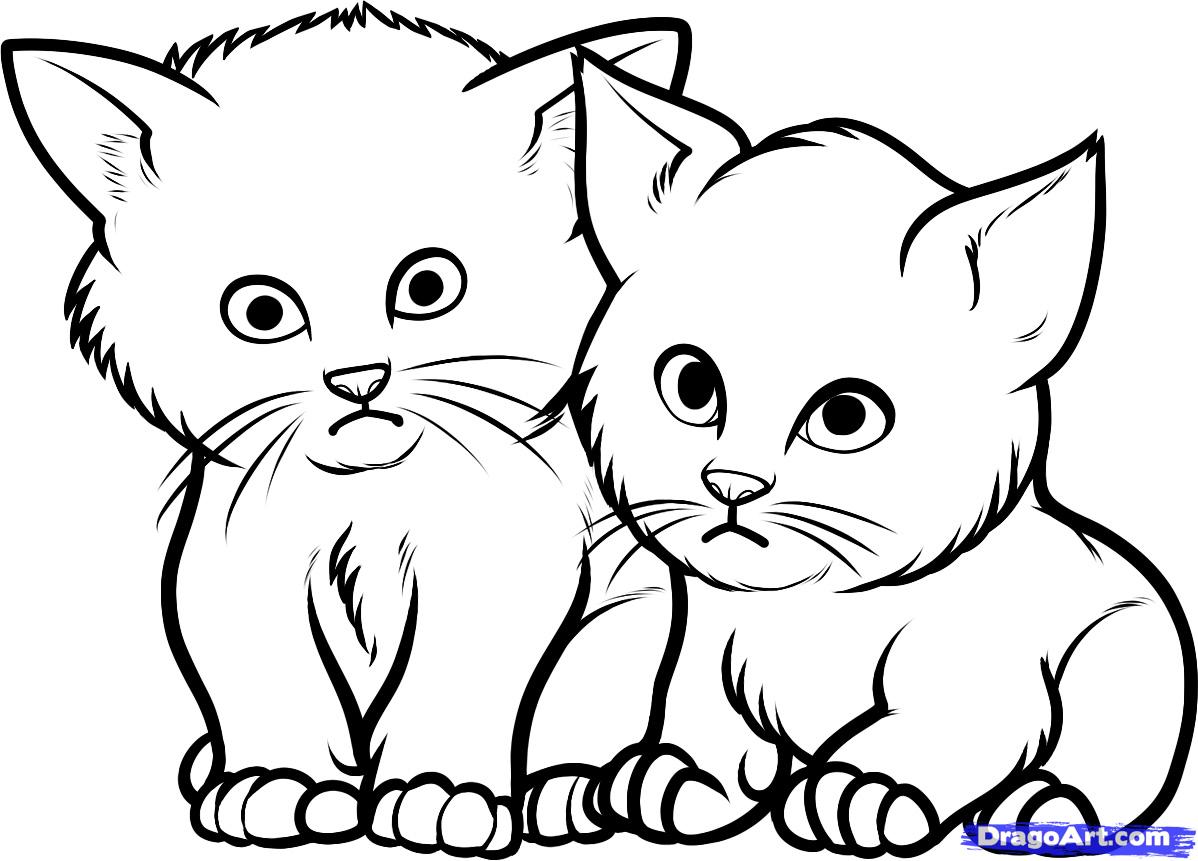 1198x861 Drawn Kitten Baby Cat