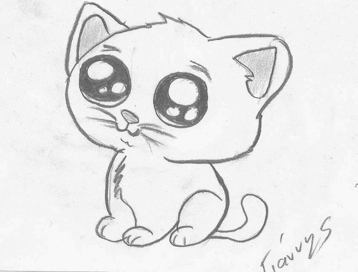 736x559 Gallery Images Of Cute Cat Drawings,