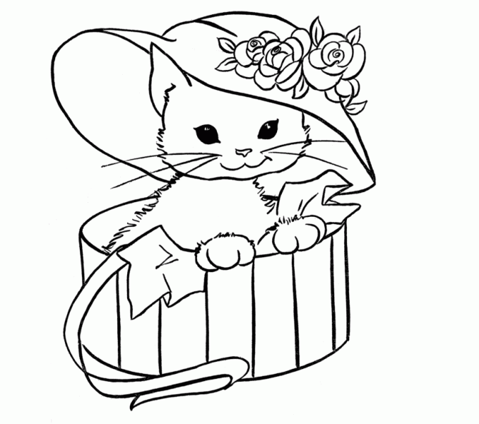 678x600 Drawing To Colour Colour Drawing Free Wallpaper Cute Cat Coloring