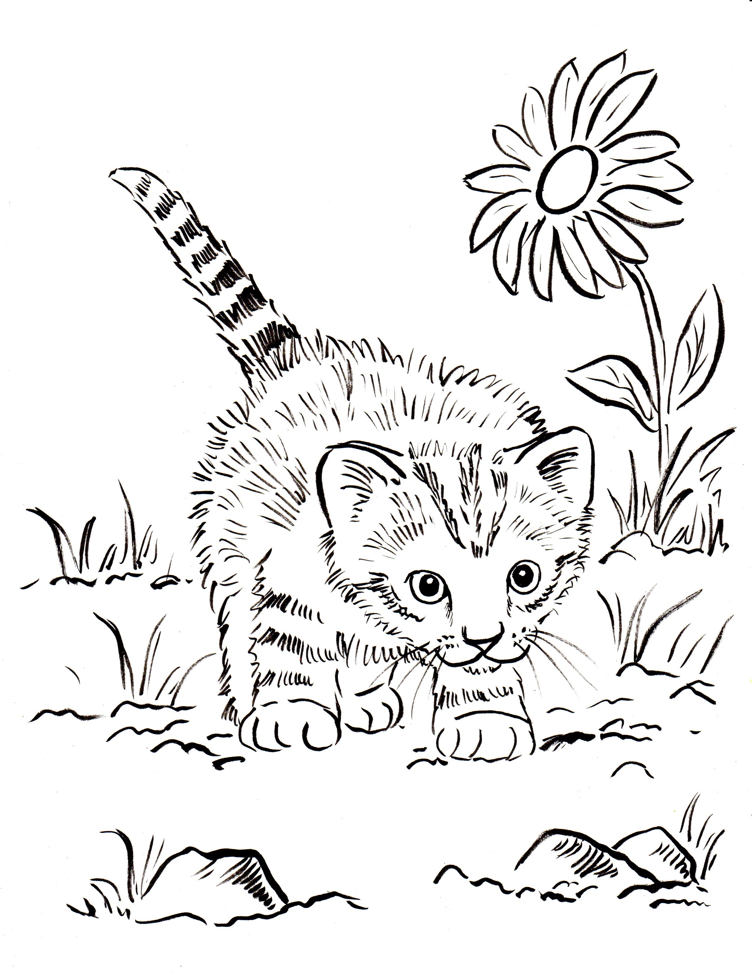 2545x3300 Free Printable Cat Coloring Pages For Kids