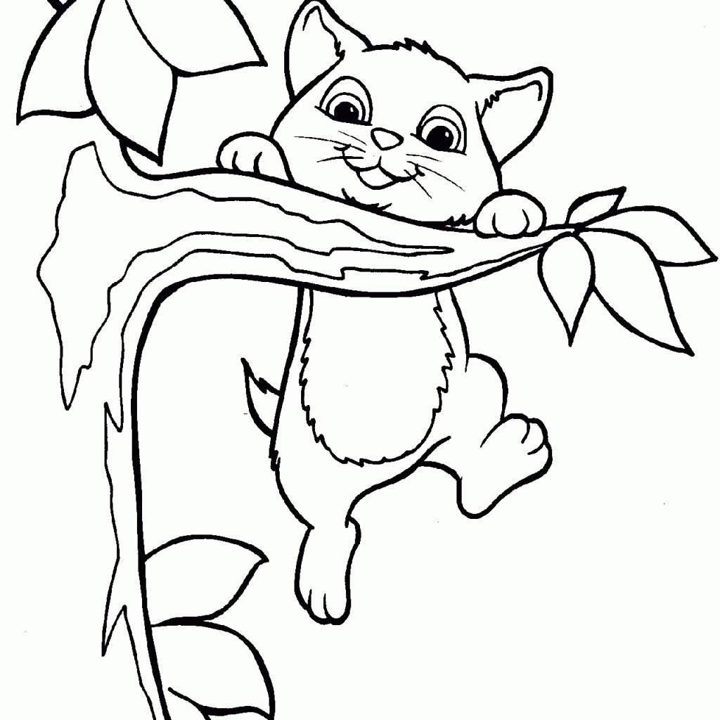 1024x1024 Cat Drawing Page Coloring Pages For Kids Coloring Lesson