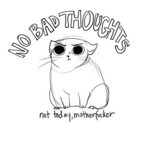 500x492 Cat Cute Quote Happy Happiness Inspirational Moving