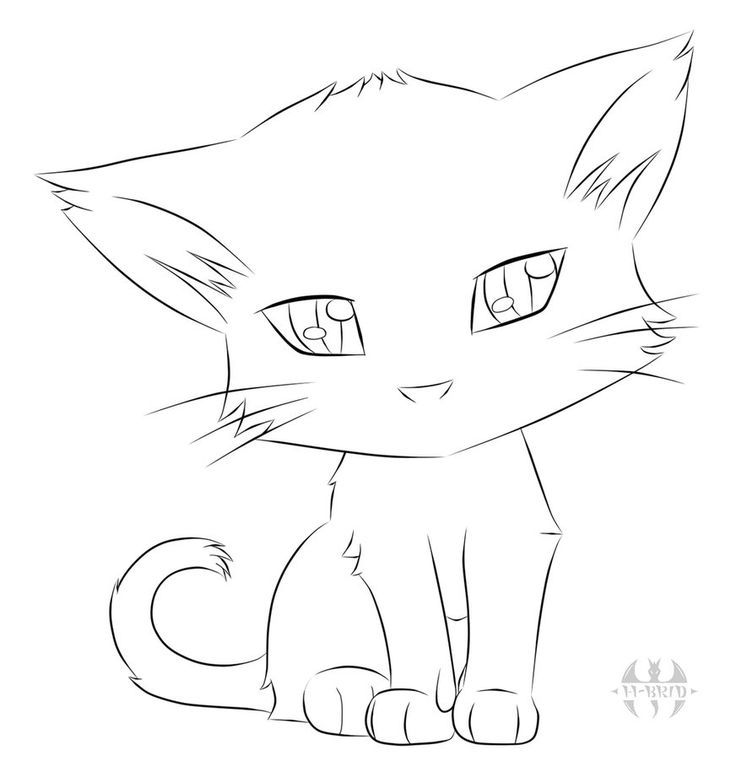 736x772 Heres A Quick Youtube Video On Drawing A Simple Cat. Kids Can Use