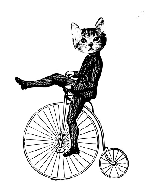 500x624 Farthingbefore=1348063117