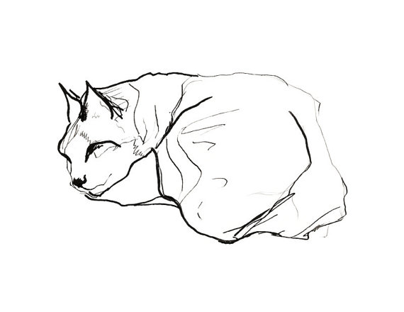 570x440 Cute Cat Sleeping Animal Print Minimal Line Black And By Evesand