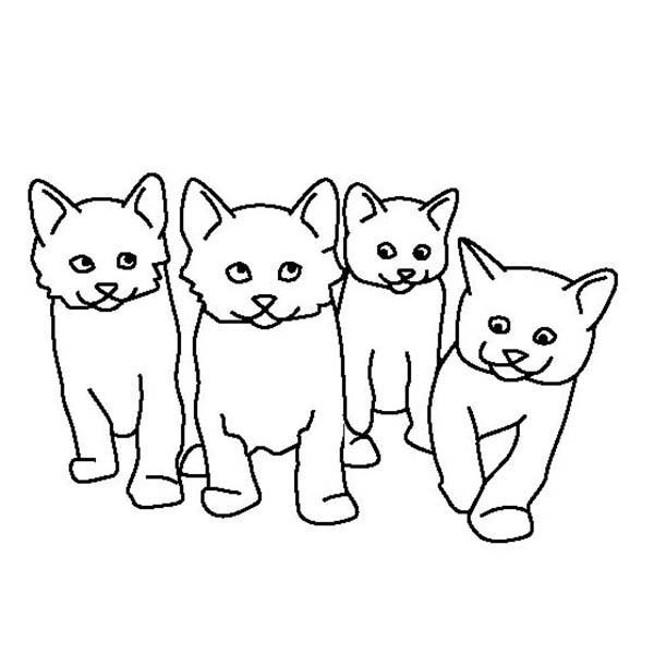 Cute Cats Drawing