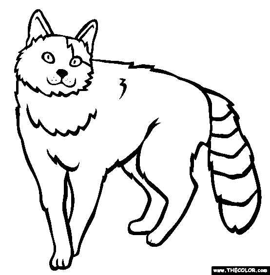 554x565 Cat Coloring Pages Cats Coloring Pages Kitten Coloring Pages