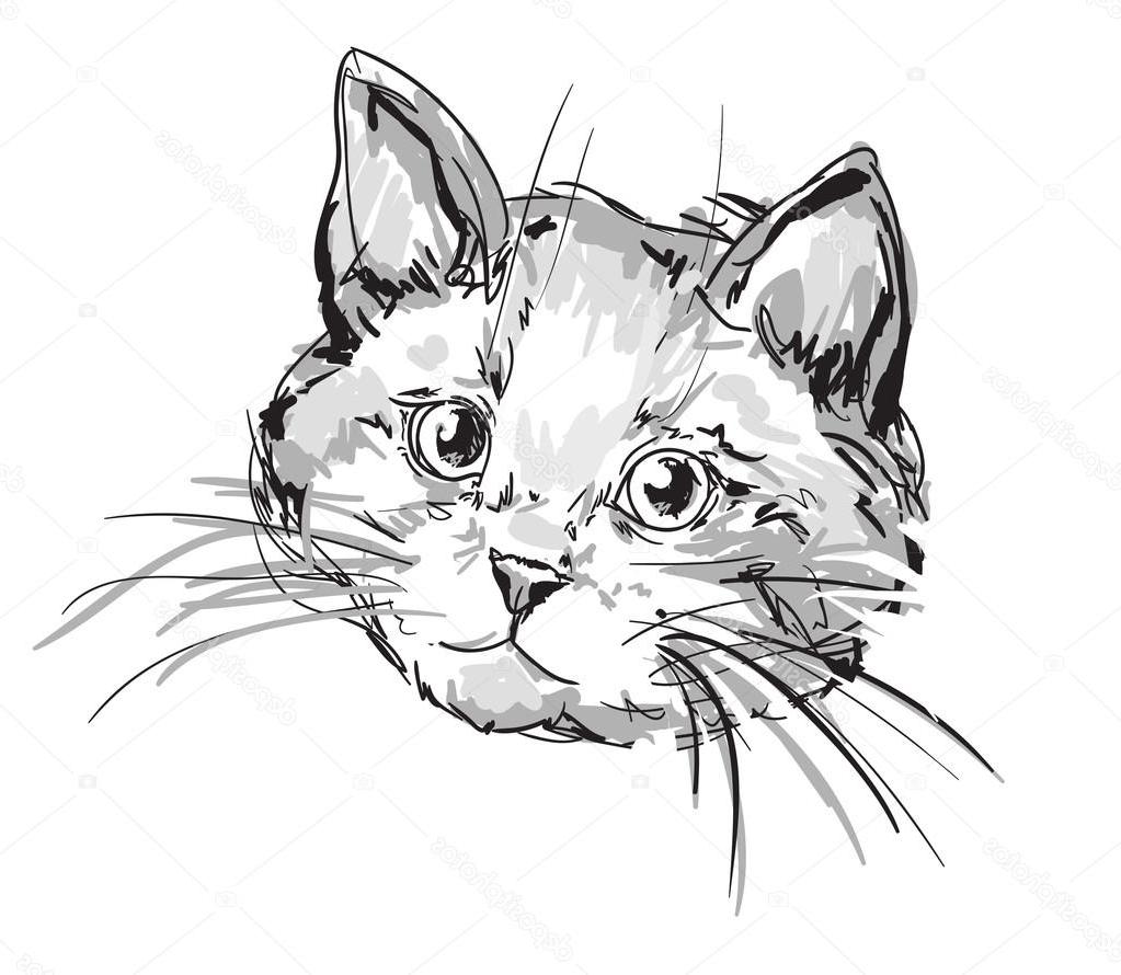1023x890 Best Free Stock Illustration Cute Cat Head Sketch Image