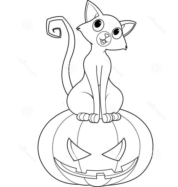 600x629 Cute Cat And Carving Pumpkins Coloring Page