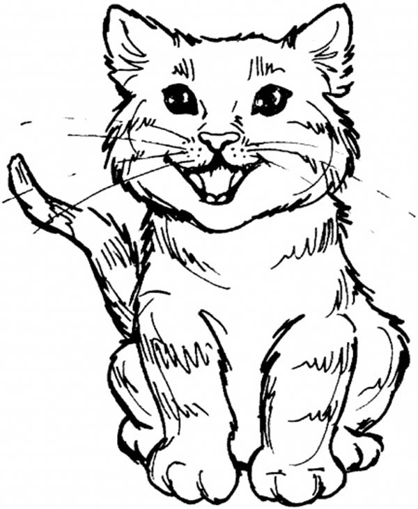 600x731 Funny Cat Coloring Pages