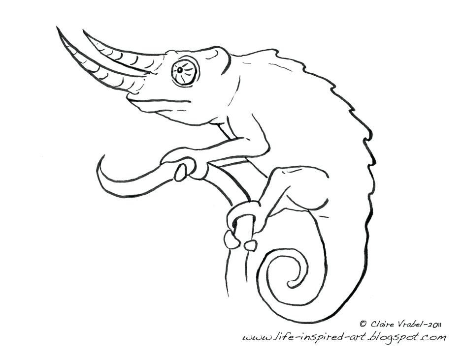 940x726 Chameleon Coloring Page Cute Chameleon Coloring Page More