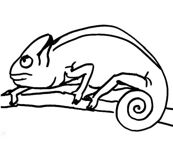 600x534 Chameleon Coloring Pages Free Printable Chameleon Coloring Pages