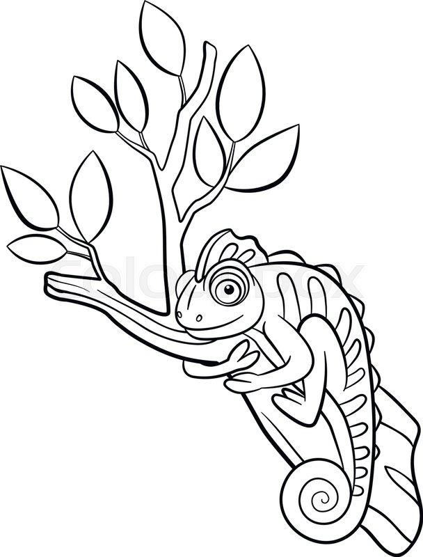 608x800 Coloring Pages. Wild Animals. Little Cute Chameleon Sits On