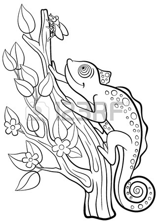 318x450 Coloring Pages. Wild Animals. Little Cute Chameleon Smiles
