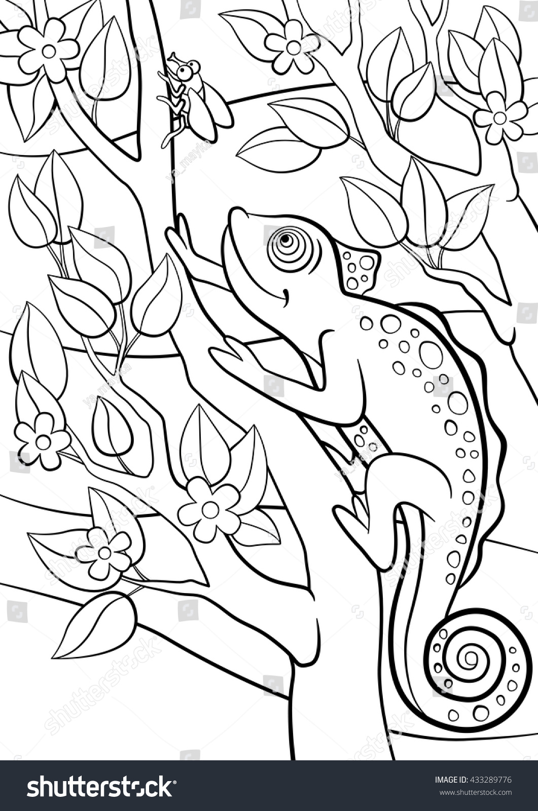 1061x1600 Free Book Chameleon Chameleons And Lizards Coloring Pages