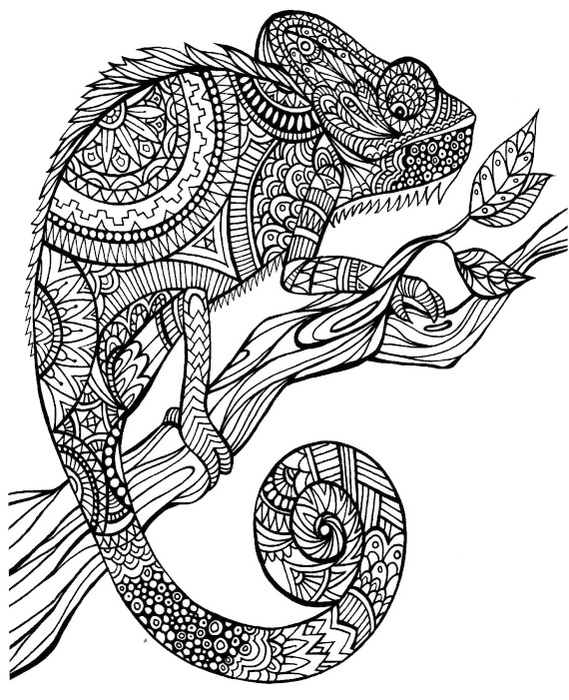 569x700 Mandala Chameleon Coloring Pages