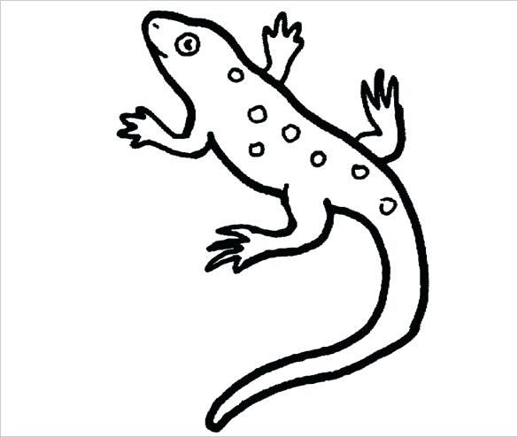 585x494 Reptile Coloring Page Cute Chameleon Chameleon To Color