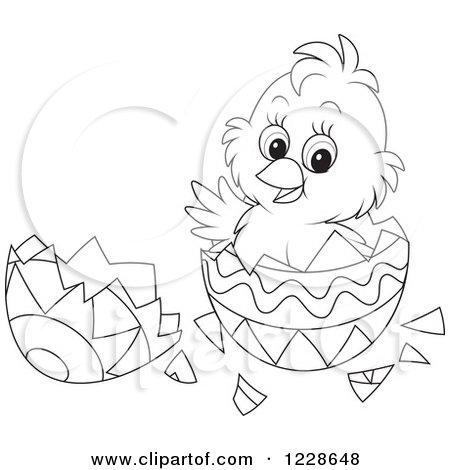 450x470 Clipart Of A Cute Black And White Chick Hatching From An Easter