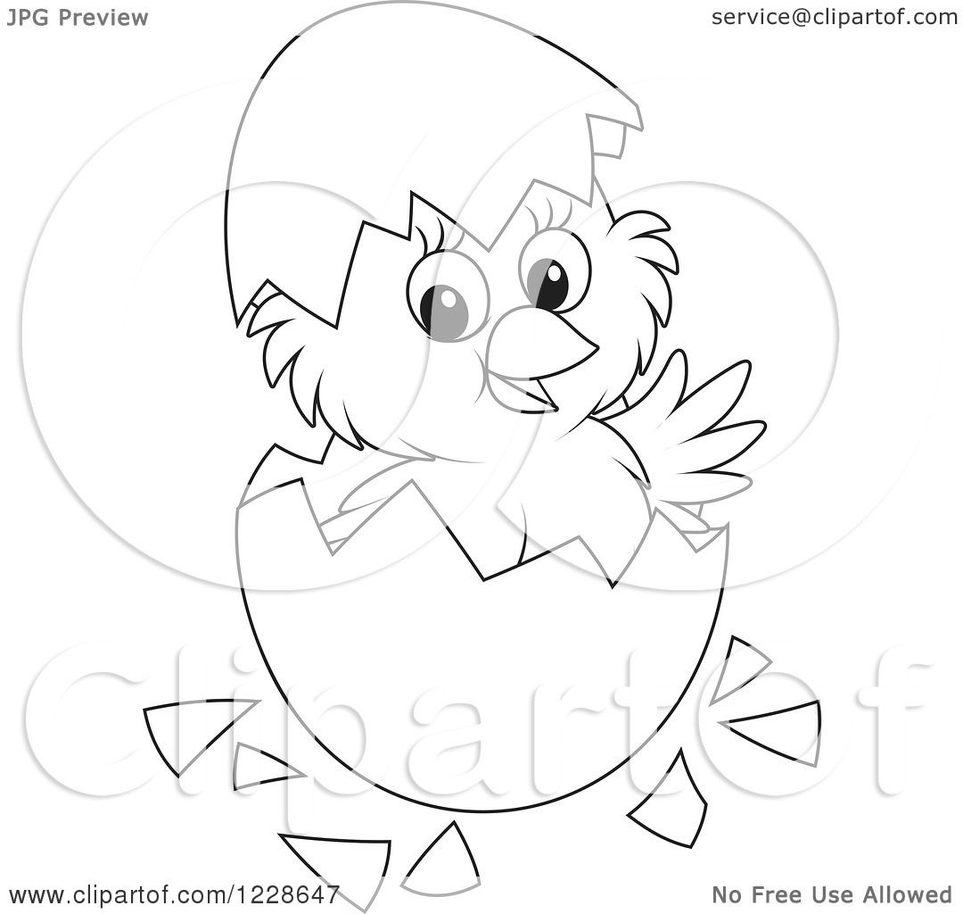 1080x1024 Clipart Of An Outlined Cute Chick Hatching From An Egg