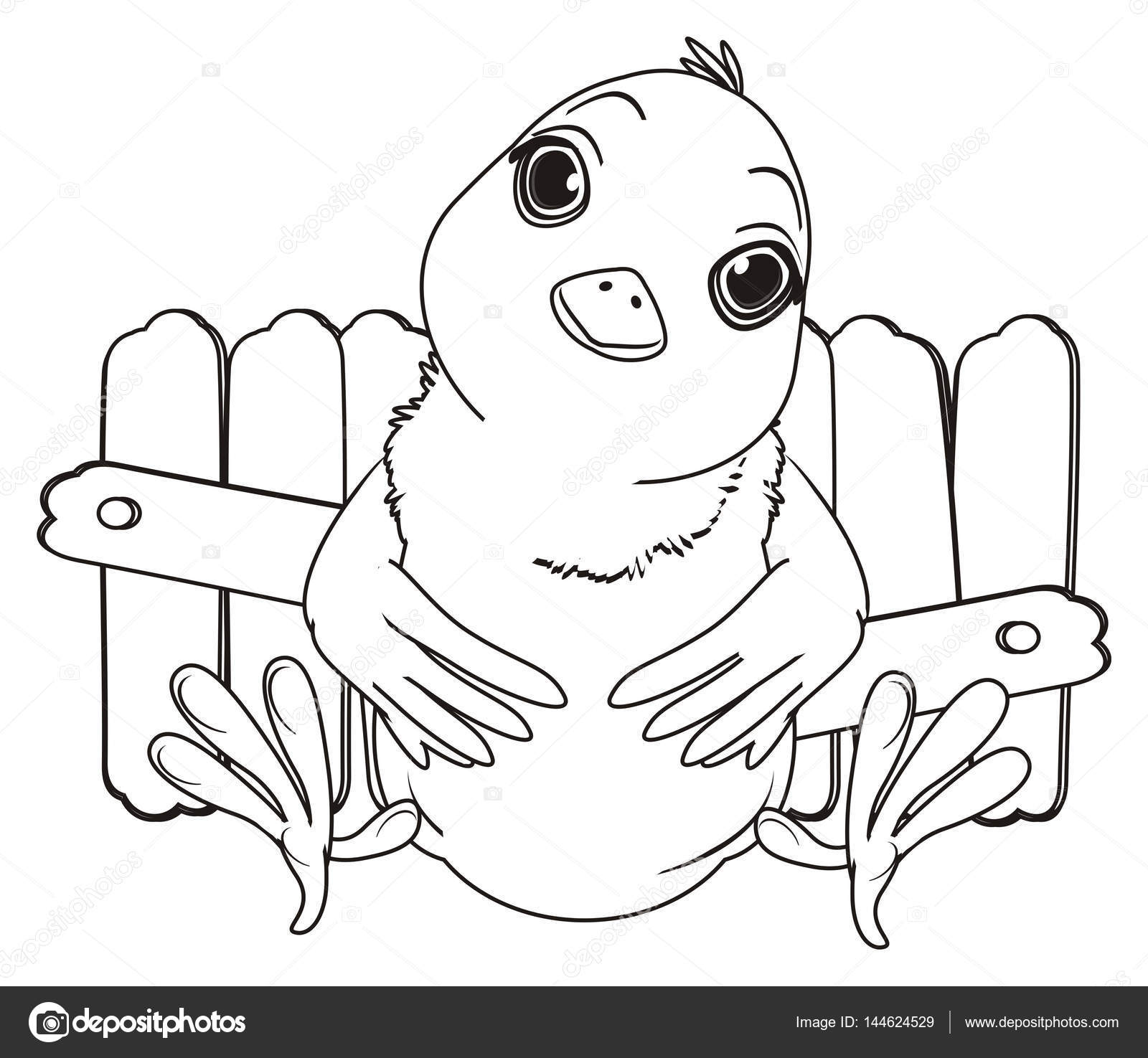 1600x1475 Coloring Cute Chick Stock Photo Tatty77tatty