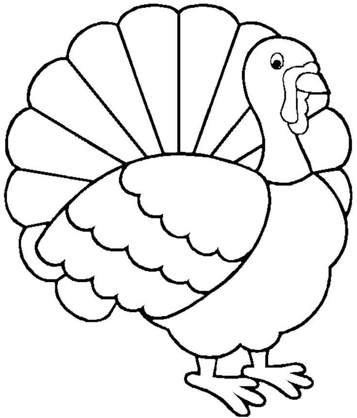 736x861 Coloring Pages Cute Turkey Drawing Cartoon Coloring Pages Turkey